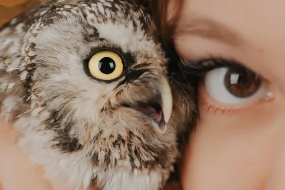 Lottomart Casino Ondersteuning